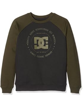 DC Shoes Jungen Rebuilt 2Crew Raglan Bildschirm Fleece