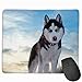 Produktbild Husky Dog Personalized Design Mauspad Gaming Mauspad with Stitched Edges Mousepads, Non-Slip Rubber Base, 300 x 250 x 3 mm Thick - Best Gift Idea