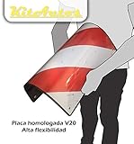  PLACA V20 HOMOLOGADA ABS (1)