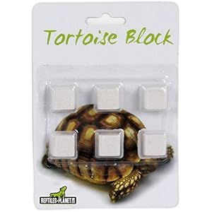 Mineralblock Tortoise Calcium Block Reptiles Planet