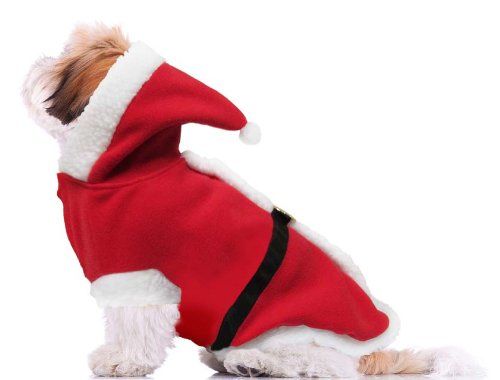Dogs-Co-Christmas-Fancy-Dress-Dog-Costume-SANTA-PAWS-Large-22-inch-55-cm