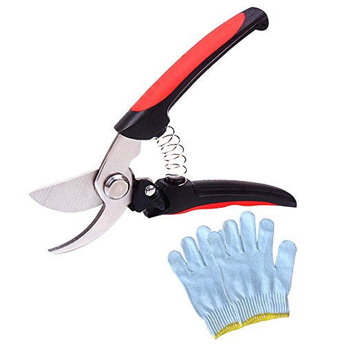 FULARR Tijeras de Podar Profesional, Tijeras de Jardinería, Tijeras Pruner, Podadera con Cierre de Seguridad, Corte Bypass, Adecuado para Podar Arboles, Plantas, Viñedos, Setos y Ramas