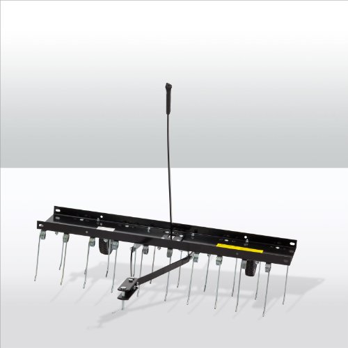 Entmooser / Rasenstriegel RS 100 - 3