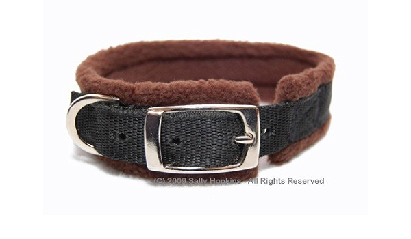 lined dog collar