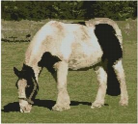 Horse Pony Complete Counted Cross Stitch Kit 10" x 9" A2193