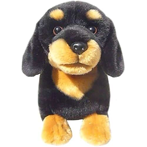 Amazon.co.uk sausage dog teddy