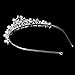 WINOMO Rhinestone Faux Pearl Decorated Wedding Bridal Hair Barrettes, Hairband, Hair Clip, Hair Loop, Tiara (Sliver)