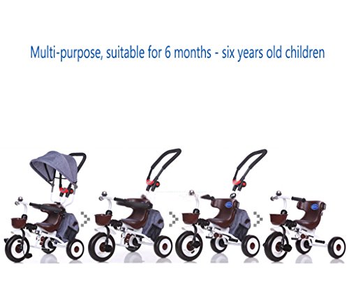 paw patrol bike with parent handle