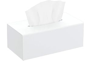 HIIMIEI Pudełko na chusteczki kosmetyczne, 25,0 x 13,0 x 9,0 cm, akrylowe pudełko na chusteczki higieniczne | pudełko na chusteczki z osłoną magnetyczną do jadalni, łazienki, sypialni, samochodu,