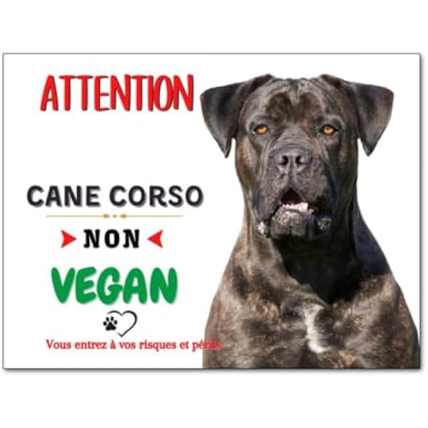 Tervueren Plaque Humour Chien Bizarre - Foxa Art Création