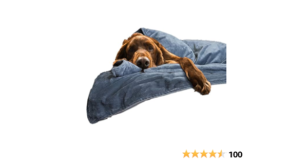 dog stress blanket