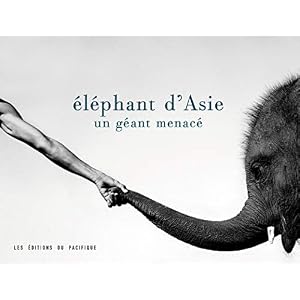Eléphants d'Asie. Un géant menacé