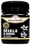 Miel de Manuka 200+ MGO 250 gr | Produit en Nouvelle-Zélande. Actif et brut, 100 % pur et naturel | Méthylglyoxal testé |