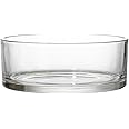 FOMIYES Wide Cylinder Glass Vase Bowl Clear Flower Vase Glass Hydroponic Planter Large Terrarium Planter Vase Glass Fish Bowls Centerpieces Vase for Hydroponic Plants S