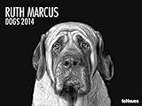 Dogs 2014 by