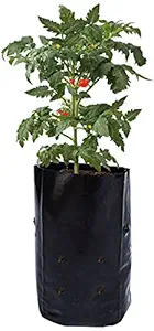 Mipatex Nursery Poly Grow Bags for Terrace Gardening, 2in x 2in x 6in - Planting Plastic Bags for Leafy Vegetables (Pack of 50)