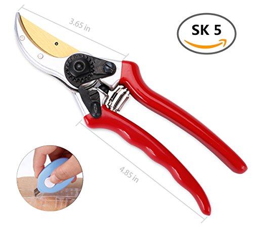 Ratschen Amboss Gartenschere EULE mit Klinge aus japanischem SK5 Stahl Baumschere zum Schneiden von TROCKENEN und SCHWER zu schneidendem Holz in 3 SCHRITTEN. Mit ZUFRIEDENHEITS-Garantie 21 Tagen ! - 5