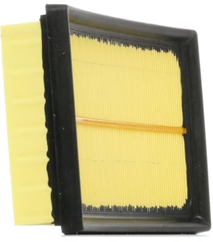 Blue Print ADT32299 Filtro Dell'aria