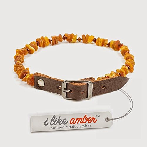 Amber Collar for Dogs and Cats with Adjustable Easy to Clean 100 % Leather Belt - made of Genuine Raw Baltic Amber - 100% Natural ÊFlea & Tick Protection - NatureÕs Way of Protecting Your Four Leged Buddy - size options from 20cm to 75cm PNL.MLTpCGN50-55