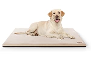 Knuffelwuff Berrith - Alfombrilla ortopédica para perros (imitación de piel de conejo, 100 x 70 cm), color beige