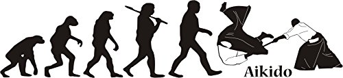 Evolution Aikido, Fahrzeugaufkleber, Kampfkunst, Kampfsport, Japan, Größe ca. 300 mm x 70 mm, verschiedene Farben (M071 Grau) - 2