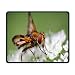 Produktbild Nature Art Mousepad Unique Custom Rectangle Mouse Pad Funny Cute Gaming Butterfly and Insect Decor Mat Collecting Nectar