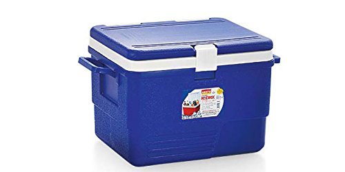 ARISTO Plastic Best Summer Vacation Insulated Ice Box, Keep Contents Chilled for 12 Hours (25L, White and Blue), S (VR10848)