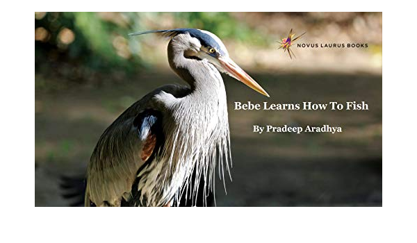 Bebe Learns How To Fish Bebe The Great Blue Heron Learns How Patience And Focus Are Needed To Catch Fish Animal Picture Books With Social Emotional Learning Book 1 English Edition