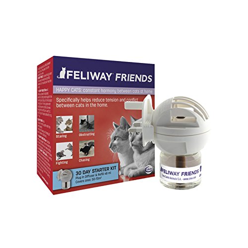 Feliway FELI005 Solution Pratique/Efficace pour Le Confort de Chat