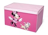Disney Minnie Mouse Collapsible Fabric Toy Box (Baby Product)
