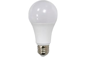 BYUTFA Versteckte Aufbewahrungsbox Sichtschutz Geheime Glühbirne Home Diversion Versteckdose Sicherer Behälter Versteck ⁣⁣⁣⁣ Aufbewahrung Geheimfach