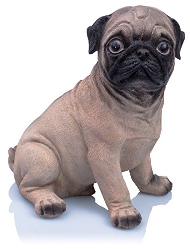 VENKON - Dekorative Spardose für alle Hundefreunde: „Banker auf vier Pfoten“ im sehr realistischen Mops Design - Höhe: ca. 20cm