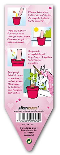 BärenBande Magisches Einhorn-Futter Liebe - 2