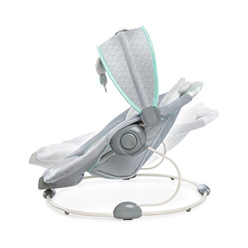 Ingenuity 60726 InLighten Bouncer – Twinkle Teddy Bear - 14