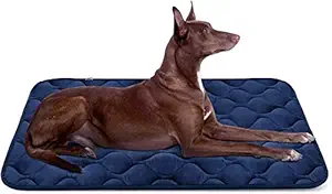 Dog Bed Mat Crate Kennel Pad Car Seat Cover Bed Pet Claw Resistant Anti-slip Cushion, Soft Fleece Washable Padded Bolster Bed for Travel House Floor, 42 IN Large Bed Blue By HeroDog