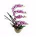 Produktbild MEILI FLOWER Die Einrichtung ist Oszillierende Device Emulation Blume Motte Orchid Suite Wohnzimmer dekoriert in Einem Blumentopf im Esszimmer Blumen.