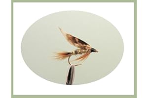 TROUTFLIES UK WET FLIES March Brown Wet Trout Flies, 12 Pack Mixed 10/12/14, For Fly Fishing