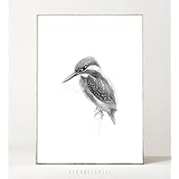Kunstdruck / Poster EISVOGEL -ungerahmt- Vogel, Portrait, skandinavisch, nordisch