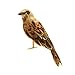 Produktbild Gazechimp Simulation Ornamente Künstliche Vögel Gefiederten Spatz Realistische Vogel Modell Dekor Kunstvogel Federvogel - #1, 14x4x5cm
