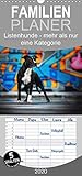 Listenhunde - mehr als nur eine Kategorie - Familienplaner hoch (Wandkalender 2020, 21 cm x 45 cm, hoch) by 