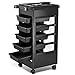 tinxs Salon Hairdresser Barber Beauty Storage Trolley Hair Drawers Roller Cart Spa NEW