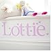Personalised Name Wall Letter Stickers, Pink Gingham i, 10-16 cm high. Each letter comes with one lilac heart and one pink heart sticker. A-Z a-z &. Price is per letter.