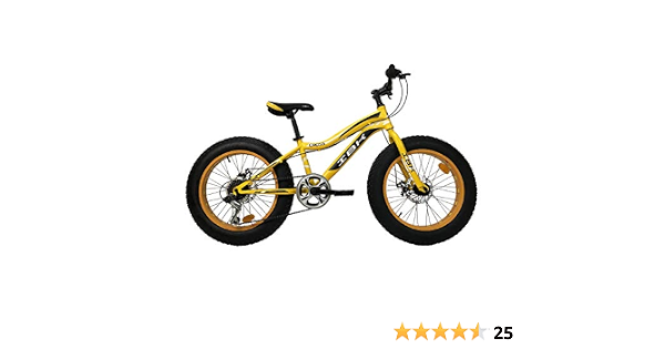 IBK Bici Bicicletta 20\