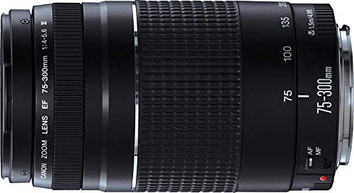 Canon EF 75-300mm f/4-5.6 III Objetivo para Canon (zoom óptico 4x,diámetro: 58mm), color negro