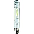 Philips 17989015 HPI-T Plus E40 Bulb, Energy Class A+, 250 Watts