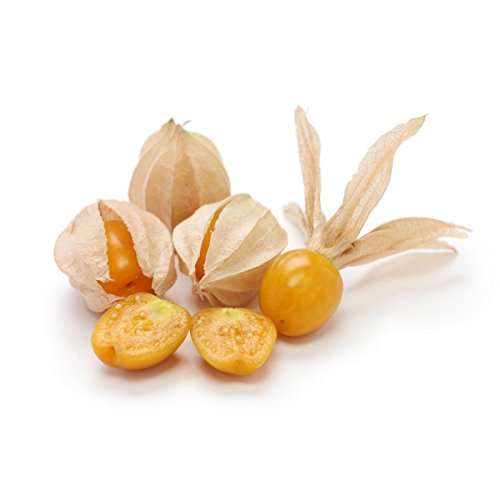 PHYSALIS PERUVIANA