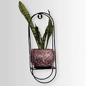 HINS Hanging stand with Metal Polka For Indoor Plants And Home Decor (Dark Chocolate) Plant Stands For Indoor Balcony I Plant Bench I Plant Stands I Pot Stand Single I Potted Plant Stand I Big Pots I Metal Plant Stand I Tall Outdoor Planter I Metal Casters I Large Plant Stand I Pot Stands For Garden I Indoor Plants Stand I Iron Plant Stand I Terrace Garden Stand I Garden Rack I Iron Stand For Pots I Pots Stand I Indoor Planter With Stand I Metal Plant Stands