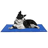 Tapis Rafraîchissant pour Chien et Chat Réduction Efficace la Température d'Anim