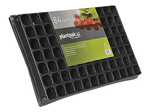Preisvergleich Produktbild Plantpak ppk70200066 Samen und zimmergewächshäusern
