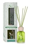 Dama de Noche:Perfume muy fresco floral con matiz herbáceo, cítrico afrutado y fondo amaderado apolvado. Salida: Fresca limón, floral afrutada manzana, melocoton. Corazón: Fresca floral jazmín, rosa , lilas, muguet, matiz herbáceo. Fondo: Amaderado, apolvado suave.